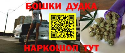 прущие крисы Бийск