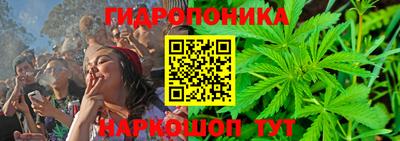 прущие крисы Бийск